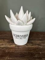 Sierplant keramiek van Riviera Maison, Ophalen of Verzenden, Zo goed als nieuw