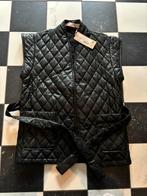 Nieuw Esqualo gilet bodywarmer mt 38, Ophalen of Verzenden, Nieuw, Maat 38/40 (M), Zwart