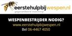 Wespennest verwijderen? wespenbestrijding, heel Limburg., Insecten of Spinnen
