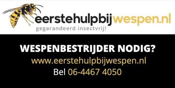 Wespennest verwijderen? wespenbestrijding, heel Limburg.  beschikbaar voor biedingen
