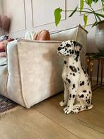 Dalmatiër hond beeld nieuw handgeschilderd Italiaans Italië, Ophalen of Verzenden