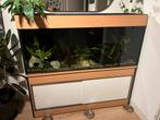 Aquarium met inhoud, Ophalen, Zo goed als nieuw, Gevuld zoetwateraquarium