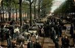 Groningen - N Veemarkt - Koeienmarkt, Verzamelen, Groningen, Gelopen, Ophalen of Verzenden, Voor 1920