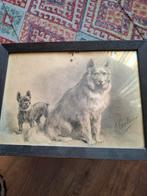 Oude prent met honden in lijst, Ophalen of Verzenden