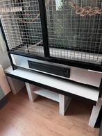Grote rvs vogelkooi Papegaai, plexiglas . Haarlem, Ophalen, Zo goed als nieuw, Overige materialen, Vogelkooi