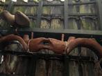 Houten Juk Vintage, Ophalen