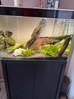 Aquarium met meubel. (pomp etc tegen betaling), Dieren en Toebehoren, Vissen | Aquaria en Toebehoren, Ophalen, Gebruikt, Leeg aquarium