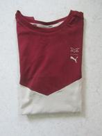 Max Verstappen T Shirt, XL, beige/Bordeauxrood, Verzamelen, Ophalen of Verzenden, Zo goed als nieuw, Formule 1