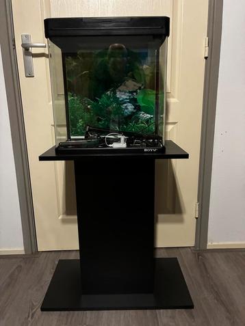 Aquarium met zuil beschikbaar voor biedingen