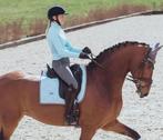 Equestrian Stockholm dekje Ice Blue, Dieren en Toebehoren, Paarden en Pony's | Dekens en Dekjes, Ophalen of Verzenden, Zo goed als nieuw