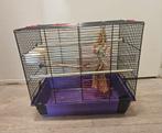 Vogelkooi met toebehoren, Ophalen, Gebruikt