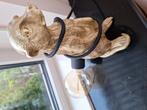 Lamp stokstaartje, Ophalen of Verzenden, Nieuw, Stokstaartje