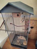 Grote binnenvolière, Dieren en Toebehoren, Ophalen, Gebruikt, Metaal, Vogelkooi
