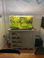 Mooi optic white 80x40x50 (160l) aquarium + apparatuur +kast, Dieren en Toebehoren, Vissen | Aquaria en Toebehoren, Ophalen, Zo goed als nieuw