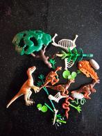 Playmobil Dino Setje, Ophalen of Verzenden, Jongen of Meisje