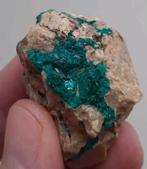 Dioptaas uit Kertsch, Verzamelen, Mineralen en Fossielen, Ophalen of Verzenden, Mineraal