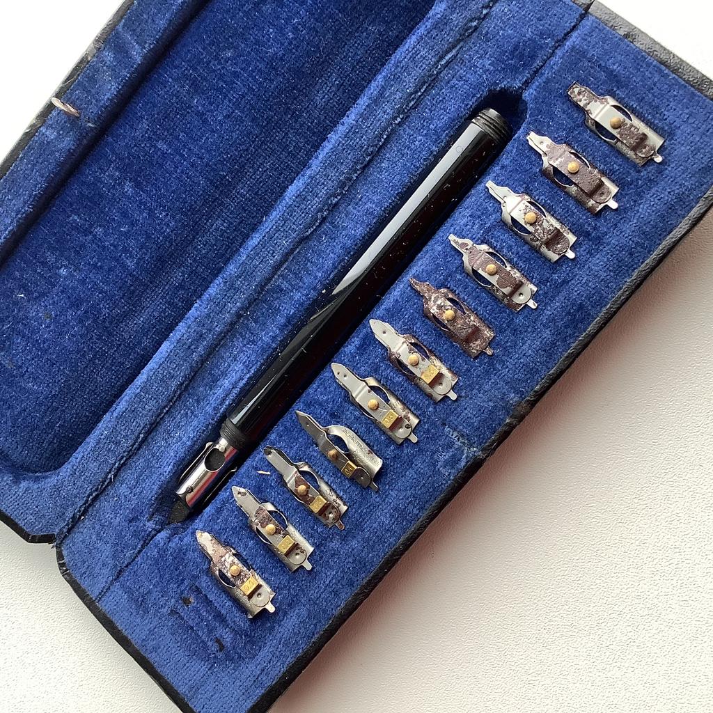 Pelikan etui, Muziek en Instrumenten, Blaasinstrumenten | Mondharmonica's, Ophalen of Verzenden, Zo goed als nieuw