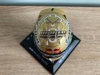 ✅ Max Verstappen 1:4 helm 2022 Kampioenshelm Red Bull RB18, Ophalen of Verzenden, Nieuw, Formule 1