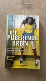 Eveline Crone - Het puberende brein, Boeken, Eveline Crone, Ophalen of Verzenden, Zo goed als nieuw