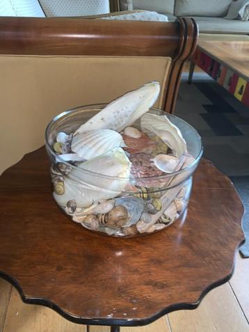 Decoratieve glazen schaal schelpen beschikbaar voor biedingen