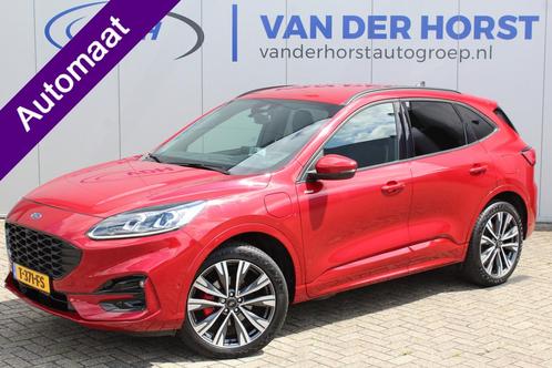 Ford Kuga 2.5-225pk PHEV ST-Line X. Volautm. airco, camera v, Auto's, Ford, Bedrijf, Te koop, Kuga, 360° camera, ABS, Achteruitrijcamera