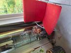 Gave design harvink stoel uncle sam, Huis en Inrichting, Ophalen of Verzenden, Zo goed als nieuw, 75 tot 100 cm