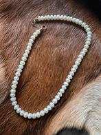 Elle Aime parel donut ketting, Sieraden, Tassen en Uiterlijk, Ophalen of Verzenden, Nieuw, Goud