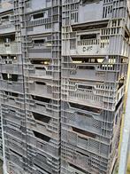 veenmankisten kunststofkisten opbergkisten, Ophalen, De Triemen 5A 9296 MB de Triemen, Gebruikt, Tuincentrum de Triemen