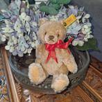 Klein oud Steiff teddy beertje met knop en label, Verzamelen, Ophalen of Verzenden, Gebruikt, Stoffen beer, Steiff