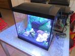 superfish aquarium start 30 compleet  met frozen inrichting, Dieren en Toebehoren, Vissen | Aquaria en Toebehoren, Ophalen, Gebruikt