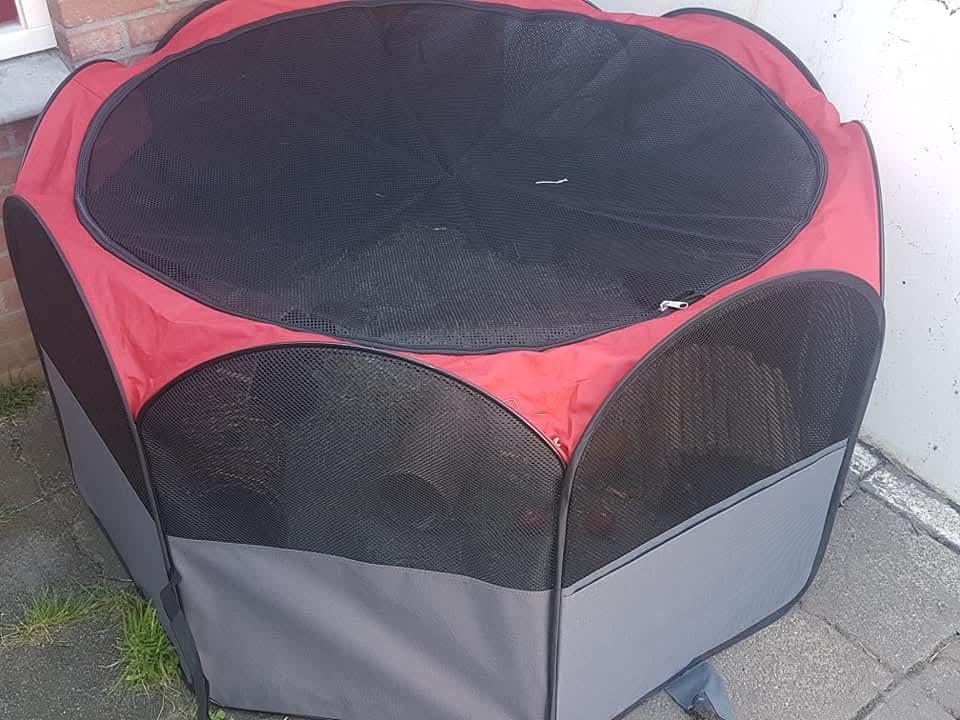 Puppy kitten konijn cavia ren zgan .nu kooppie !!, Dieren en Toebehoren, Ophalen of Verzenden, Zo goed als nieuw