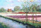 VAN NOORT  BOLLENVELD TE HILLEGOM   GROOT, Ophalen