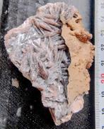 Bariet Vanadiniet Marokko, Ophalen of Verzenden, Mineraal