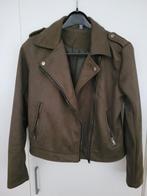 Groene Biker Jas - Maat 38/40 (M), Kleding | Dames, Maat 38/40 (M), Zeeman, Ophalen of Verzenden, Gedragen