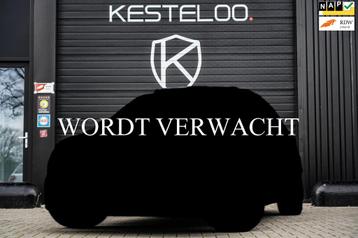 Volkswagen Tiguan 2.0 TSI 4Motion 2x R-LINE/TREKHAAK/PANO/BL beschikbaar voor biedingen