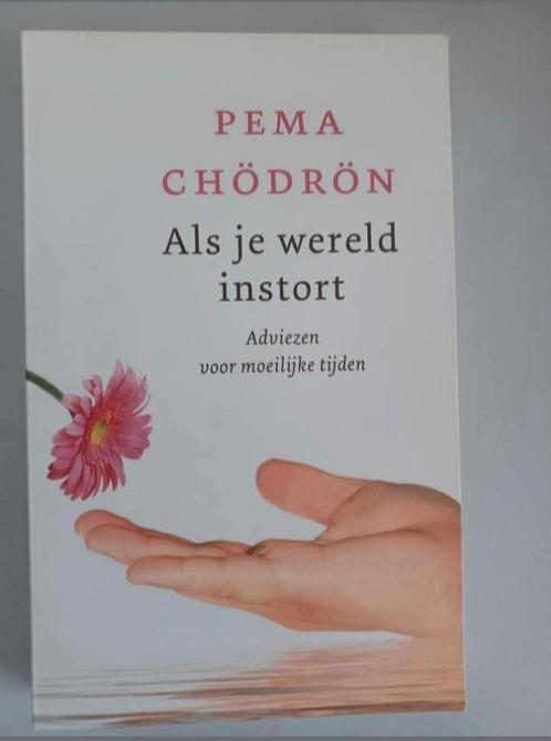 Pema Chodron - Als je wereld instort, Boeken, Esoterie en Spiritualiteit, Zo goed als nieuw, Achtergrond en Informatie, Spiritualiteit algemeen