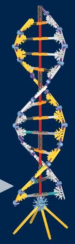 K'nex Knex Knexx | Onderdelen per stuk via website, Ophalen of Verzenden, Gebruikt, K'nex