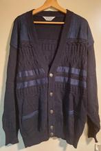 vintage heren vest van Dalmine Uomo, Kleding | Heren, Truien en Vesten, Ophalen of Verzenden, Zo goed als nieuw, Maat 52/54 (L)