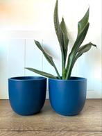 2 blauwe mica bloempotten voor kamerplanten, Ophalen of Verzenden, Zo goed als nieuw