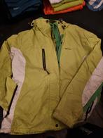 Falcon skijas maat XL, Kleding | Dames, Wintersportkleding, Falcon, Maat 46/48 (XL) of groter, Ophalen of Verzenden, Zo goed als nieuw