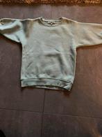 Reinders trui lichtblauw maat 4 104 110 zgan, Reinders, Trui of Vest, Zo goed als nieuw, Verzenden