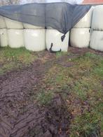 Te koop hooi en  kuil balen, Dieren en Toebehoren, Dierenvoeding, Ophalen, Vee
