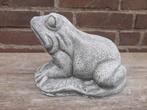 Kikker betonnen beeld tuinbeeld beton, Ophalen of Verzenden, Nieuw
