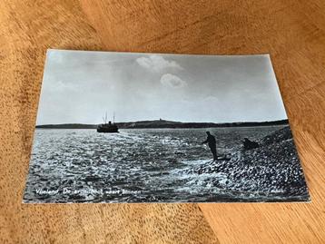 Ansichtkaart Rederij Doeksen Vlieland haven beschikbaar voor biedingen