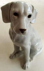 Hond in geglazuurd stenen uitvoering, Verzamelen, Ophalen of Verzenden, Zo goed als nieuw, Dier