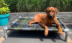 Hondenmand  ✅  hondenkussen hondenstretcher bench puppy dog, Ophalen of Verzenden, Nieuw, Overige