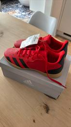 Adidas zaal(voetbal)schoenen NIEUW maat 38, Maat XS of kleiner, Ophalen of Verzenden, Nieuw, Schoenen