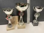 Trofeeën/wedstrijdbekers/sportprijzen/bokalen (set 17), Sport en Fitness, Ophalen of Verzenden, Gebruikt