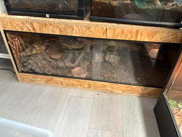 OSB terrarium 120x50x50 beschikbaar voor biedingen