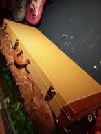 Gitaarkoffer voor stratocaster of telecaster, Muziek en Instrumenten, Behuizingen en Koffers, Ophalen, Zo goed als nieuw
